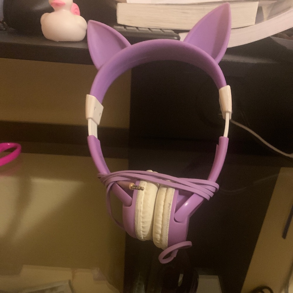 Cat ear headphones